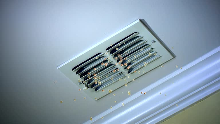 Best Ventilation Cleaning Services  in Hahnville, LA