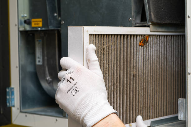 Best Air Duct Cleaning Near Me in LA