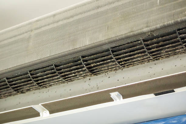 Best Affordable Air Duct Cleaning  in Hahnville, LA